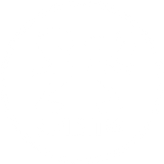 Logotipo SPIRITOF. Consta de 2 siluetas de un hombre y una mujer, uno en frente del otro, de perfil. Ambos con gafas de sol, los brazos extendidos hacia atrás y sacando pecho. Debajo las letras de SPIRITOF en mayúsculas. Todo ello rodeado por un círculo.